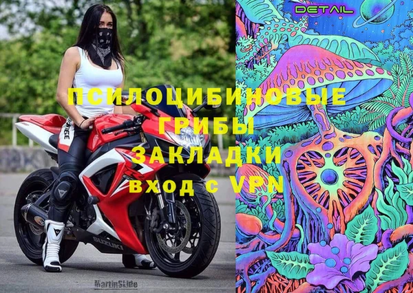 трава Елизово