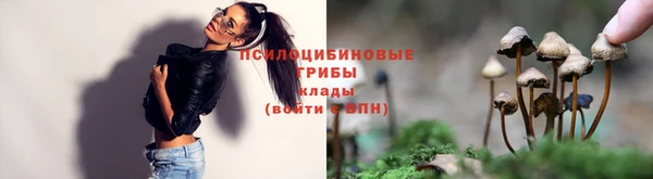 трава Елизово
